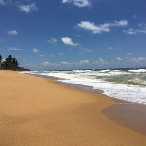 Unavailable - Colombo : Code MTS26 - 1 Bedroom Bungalow - Non AC