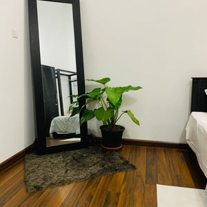 Unavailable - Colombo : Code MTS17 - 1 Bedroom Apartment
